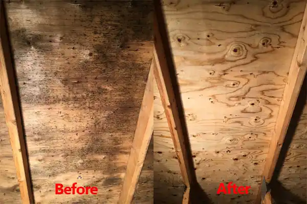 water damage restoration service Mound City